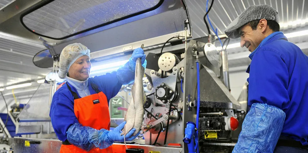 Russian Fishery Company, Agama launch the first of two planned processing facilities in Murmansk.