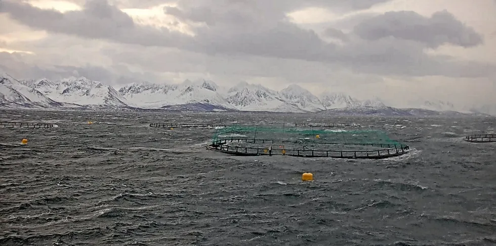 Salmon harvesting has been more difficult in choppy waters.