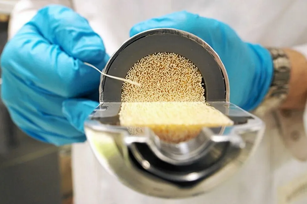 Membrane: the Aqualung Carbon Capture technology in development