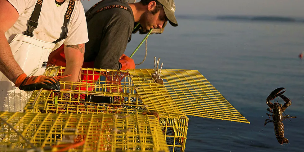 Could the sun set on the Maine lobster industry, surely not?