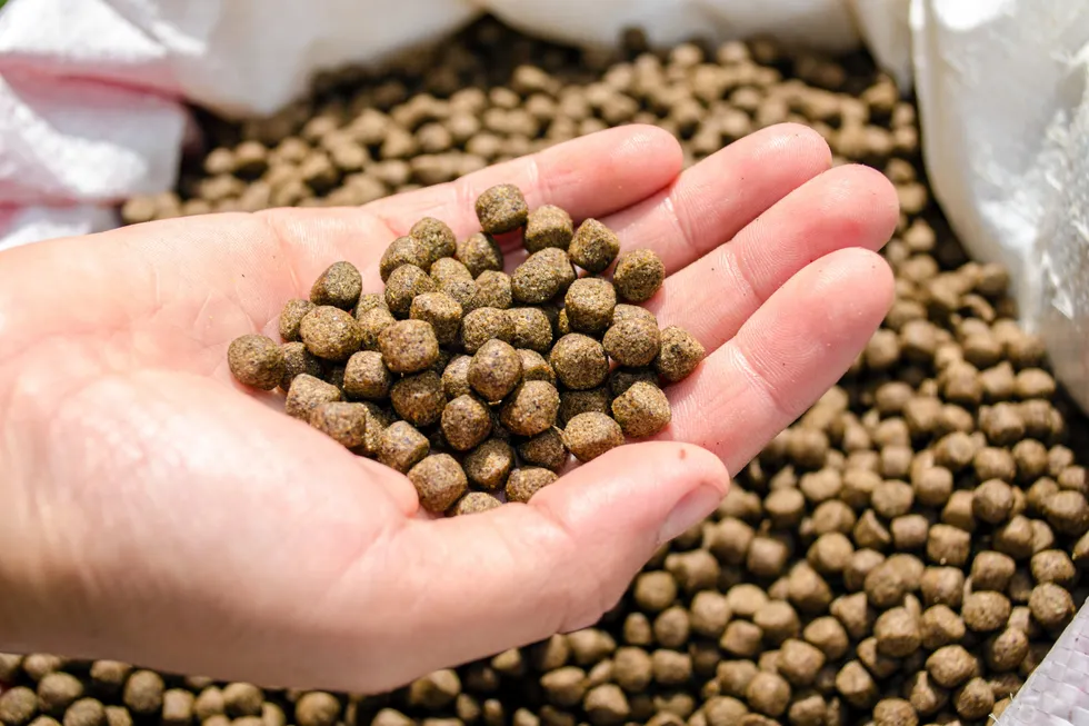 Peru accounts for around one-fifth of global fishmeal supply in an average year. Its anchovy quotas are watched keenly by the fishmeal and aquaculture industries because of their critical importance to the price of fishmeal and fish oil raw materials.
