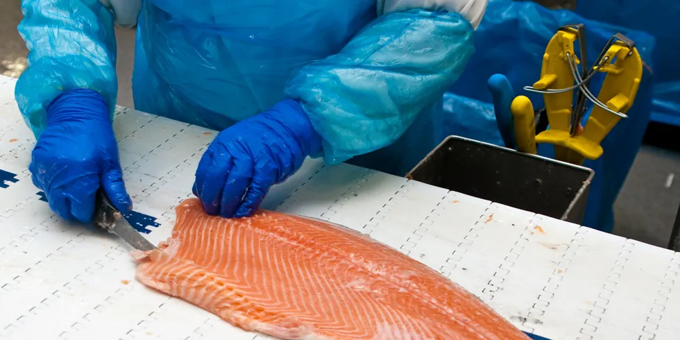One salmon producer reported "a perfectly good market" with processing volumes roughly the same as last year.