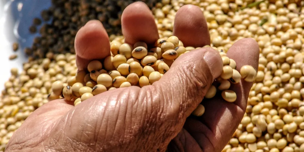Aquaculture feed group BioMar has continued to weigh its options on feed ingredients after cutting all ties with Russia in the wake of its invasion of Ukraine in 2022.