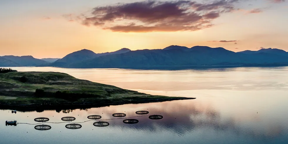 Aquaculture industry in Scotland receives hefty funding.