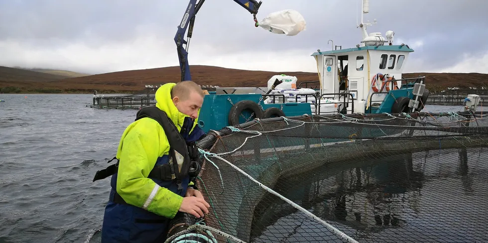 . "Our producers lost millions of pounds when the border closed. They need urgent action to be taken now," said members of the Scottish Salmon Producers Organisation (SSPO).