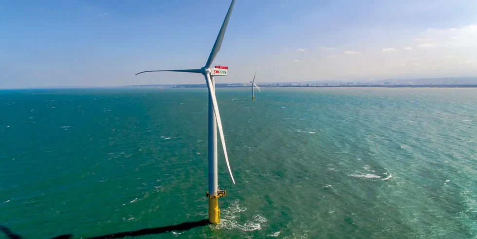Siemens Gamesa has already supplied turbines to the Formosa 1 pilot project off Taiwan