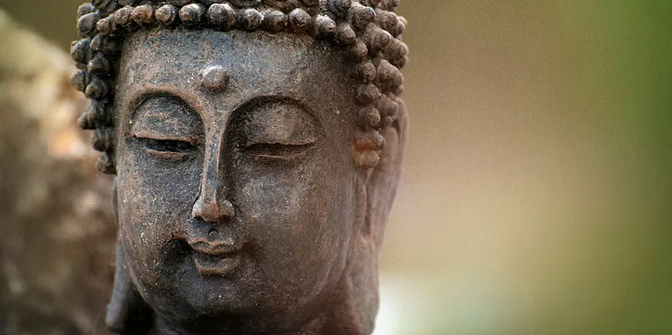 The Sunyata Buddhist Centre follows the Thai Forest tradition and encourages guests to remain in "noble silence" on its retreats.