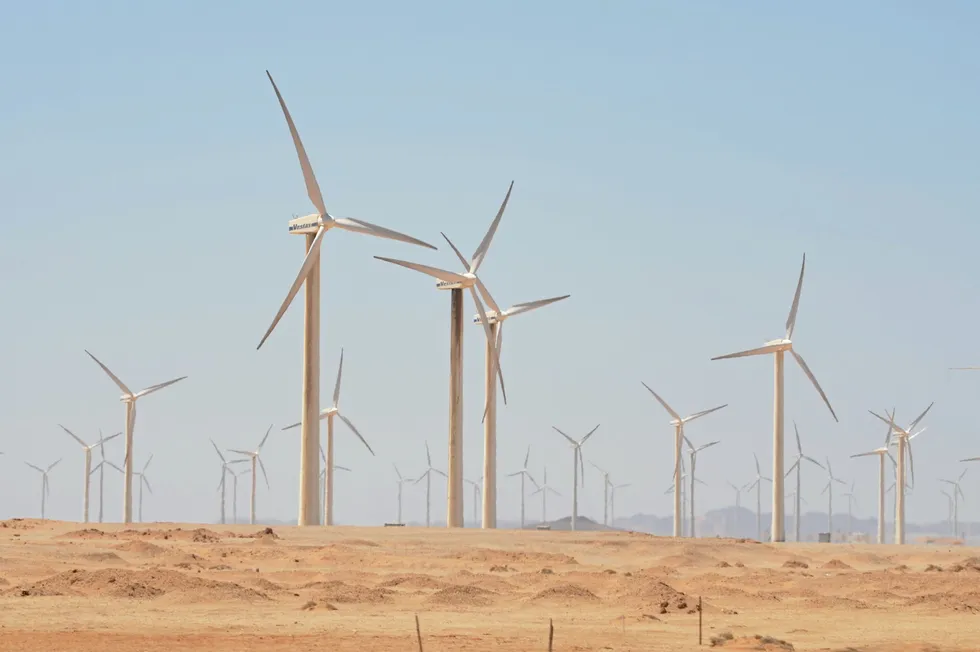 The 544MW Zafarana wind farm, which is owned by Egypt's New and Renewable Energy Authority.