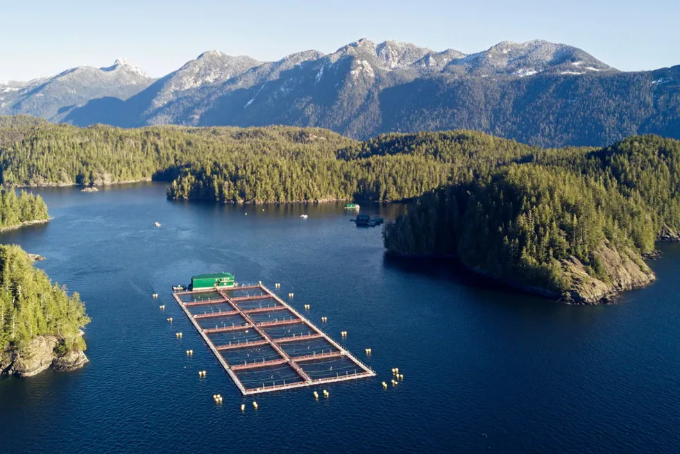 Salmon group Cermaq will expand its board by three new members.