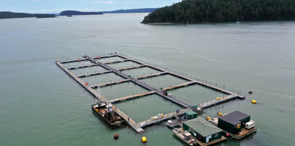 Washington State Commissioner of Public Lands Hilary Franz celebrated the rejected license renewals in a press release Monday. She also over saw the dismantling of Cooke's Cypress Island farm in 2017 following a netpen collapse.