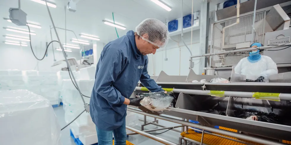 Johan Andreassen is the founder and CEO of Atlantic Sapphire, which produces salmon on land in Florida. The company reported new problems on Monday morning.