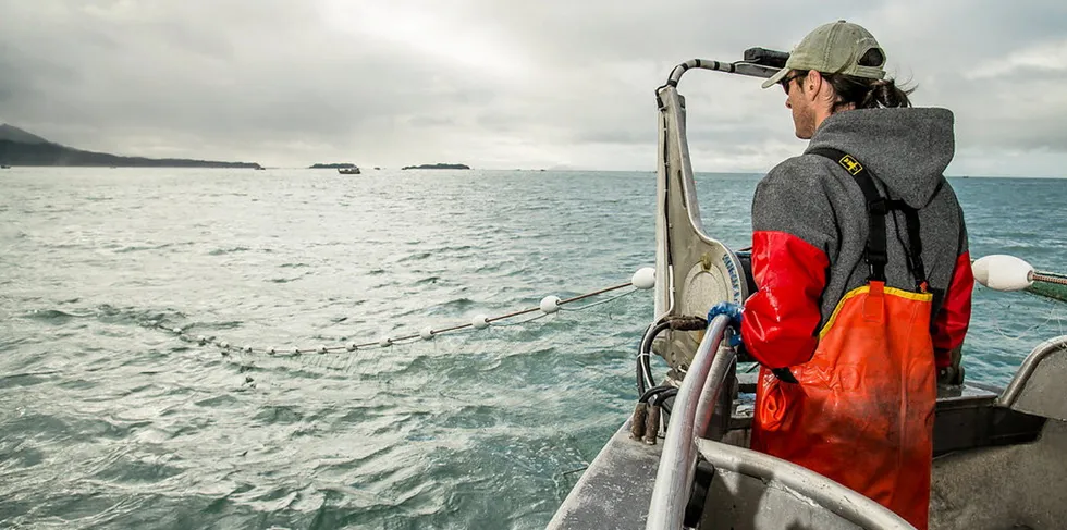 Copper River salmon catch is projected to decline in 2021.