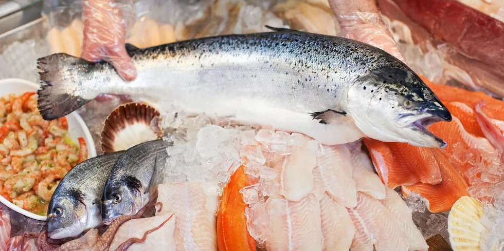 A whole farmed salmon in a retail fresh case. The picture for retail continues to be rosy for the seafood sector. For foodservice industry, not so much.