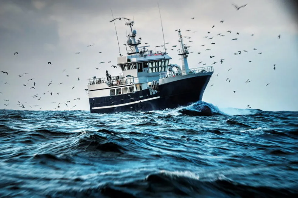 A Russian pollock vessel harvesting in the Bering Sea. Russia has approved a total allowable catch (TAC) of 2.46 million metric tons for the 2025 season.