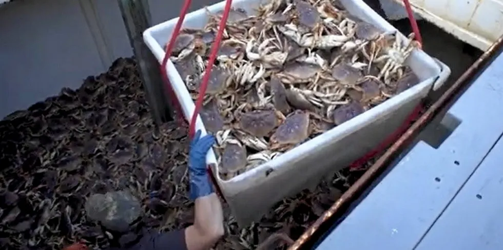 Pacific Seafood's Dungeness Crab operations are under scrutiny in a lawsuit filed by a California-based crabber.