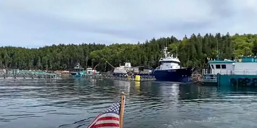 Maine DEP has closed an investigation concerning a die-off incident in August at Cooke's salmon farm in Black Island, Maine.