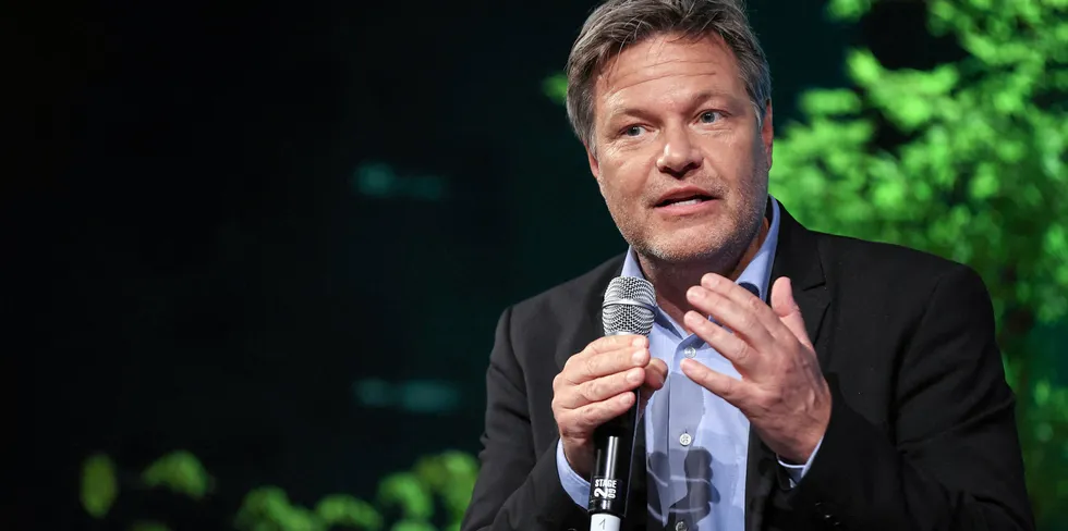 German economics and climate minister Robert Habeck.