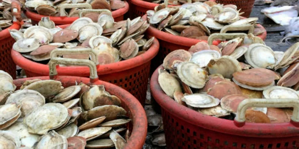 The FIP is for Mexican Bay scallops.