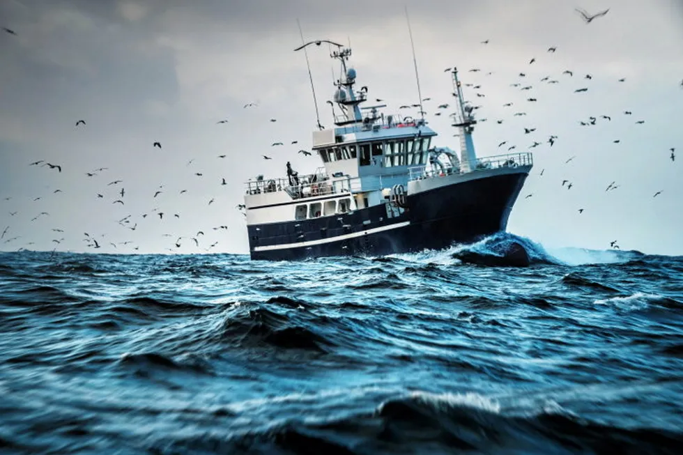 A Russian pollock vessel harvesting in the Bering Sea.