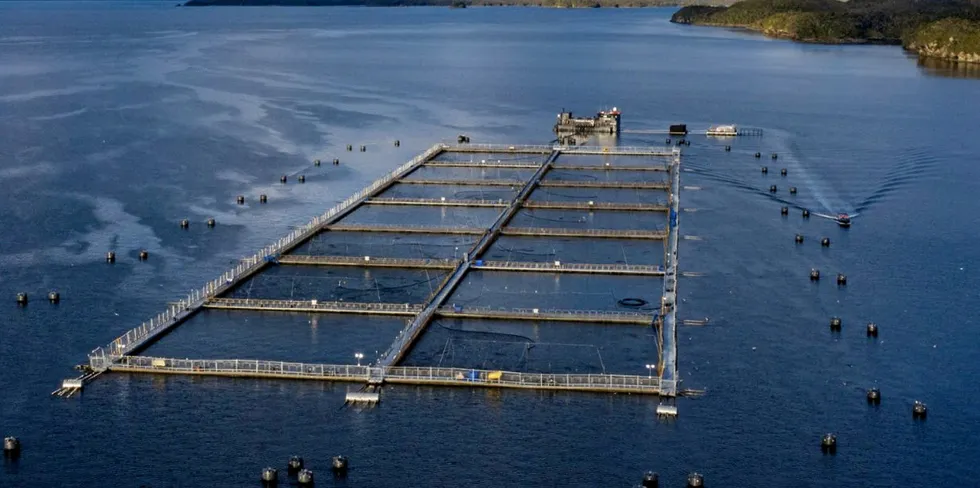 Multiexport Foods is the second reported victim of Chilean algal bloom.
