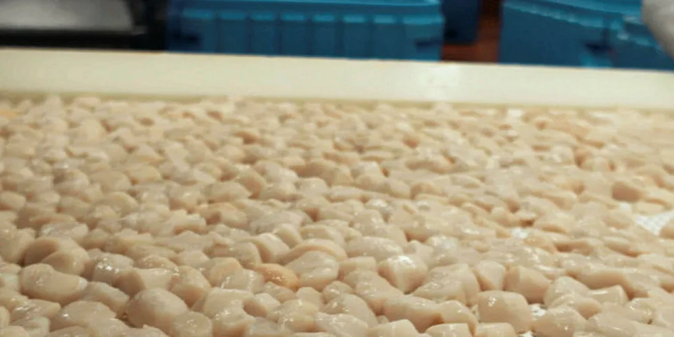 Raw Seafoods unveils blockchain tech alliance.