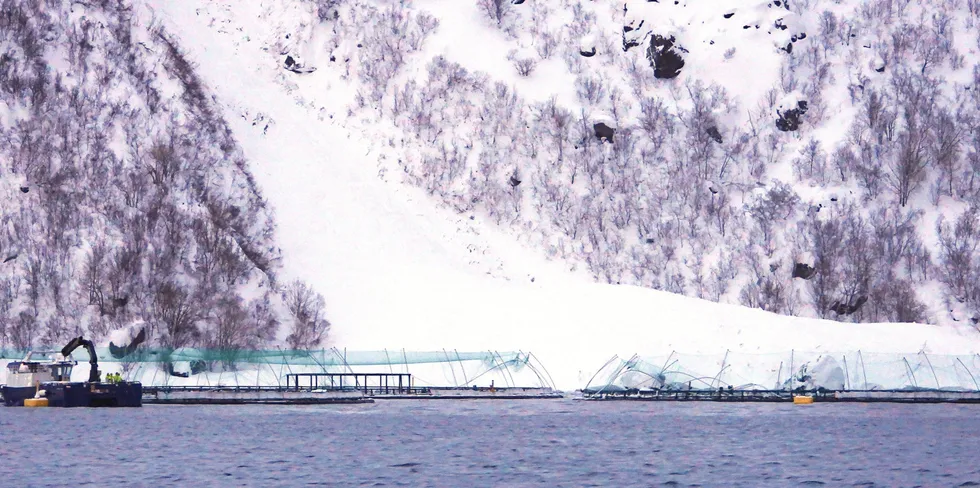 A snow avalanche hitting a Grieg salmon farm in Finnmark.