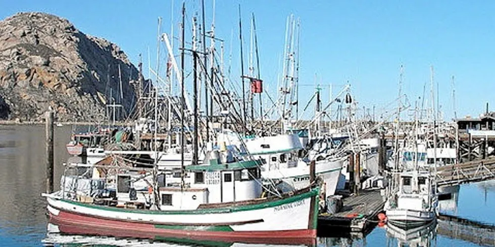 Morro Bay WEA. Fishing boats docked in Morro Bay, California.