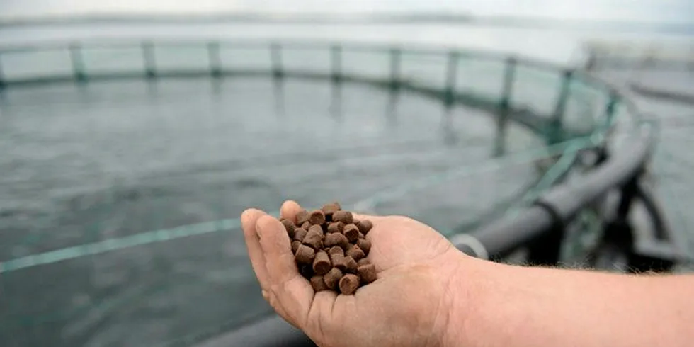 Technology startup says it can cut fish feed costs by up to 30%