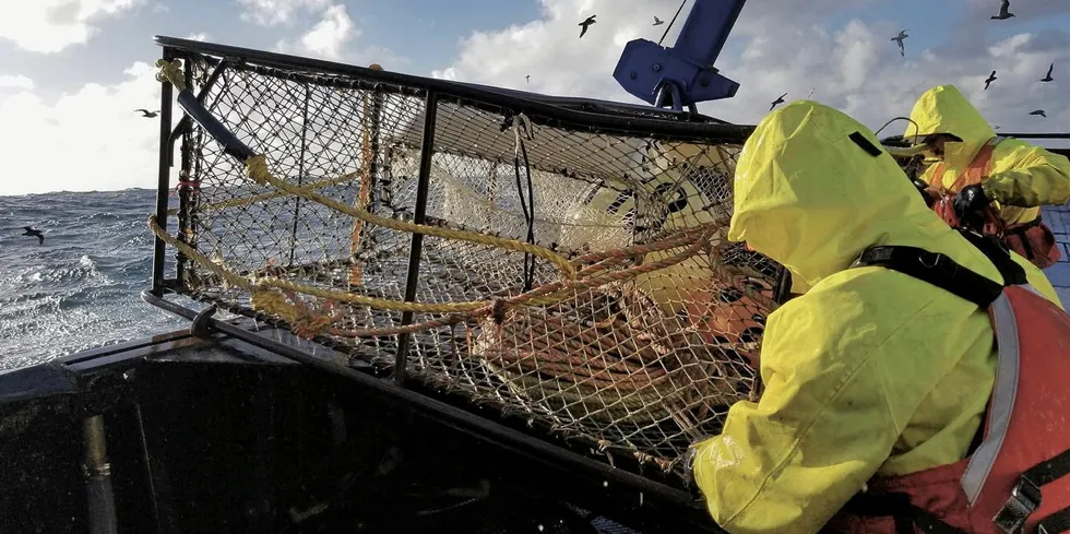 Last year marked the first time ever the Alaska snow crab fishery was called off, with regulators pointing to low recruitment levels for that fishery.