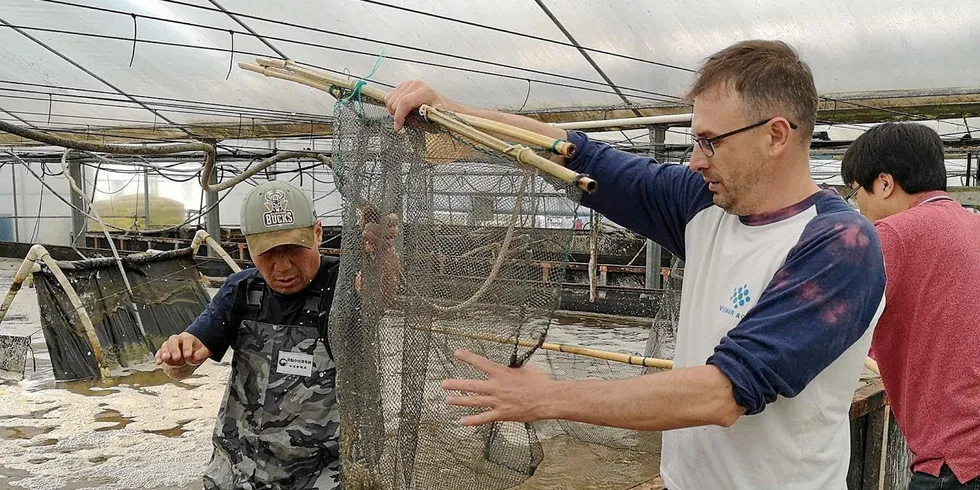 Europe’s largest shrimp farm at a standstill following Putin’s invasion of Ukraine. Pictured is Vismar Aqua's Lubomir Haidamaka.