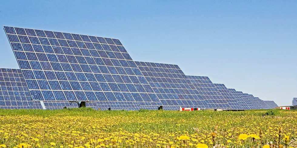 Acciona's US solar build is underway.
