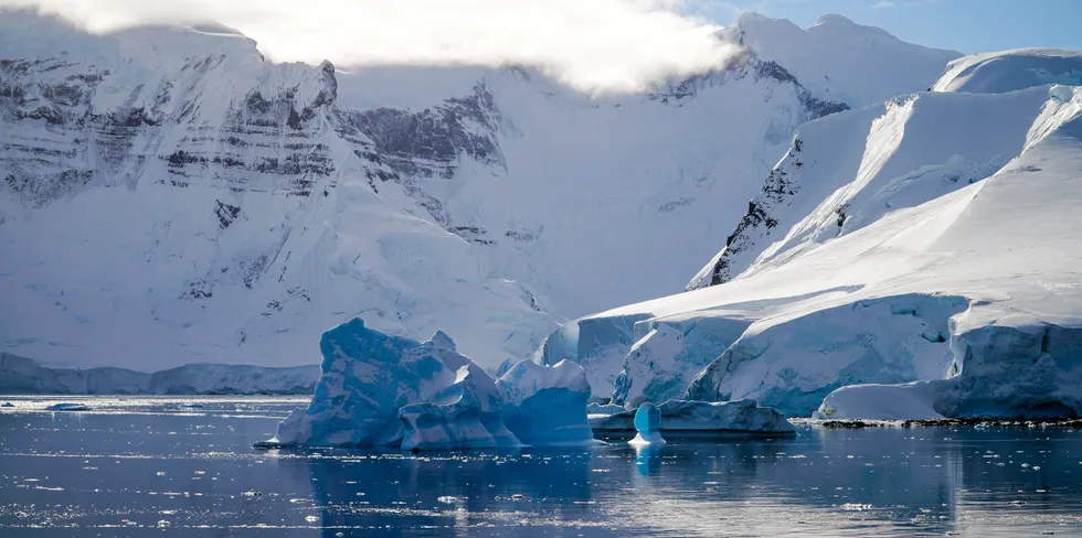 US officials have privately told their UK counterparts that their actions are likely to bar imports of any toothfish caught near South Georgia in the Antarctic. n