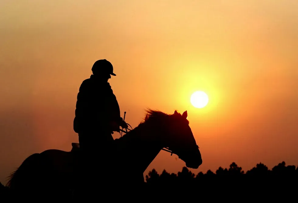 More work planned for Horse Hill