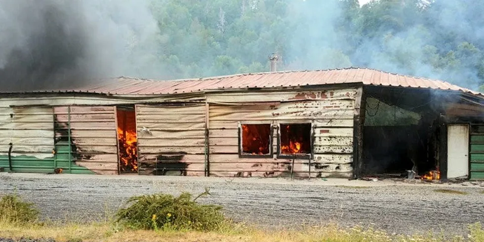 Armed attackers set fire to a salmon smolt facility owned by Cermaq on Jan. 28. The gunmen left a note claiming the attack was carried out by a militant Native rights group, though police have not confirmed the group responsible. Salmones Yadran was leasing the facility at the time of the attack.