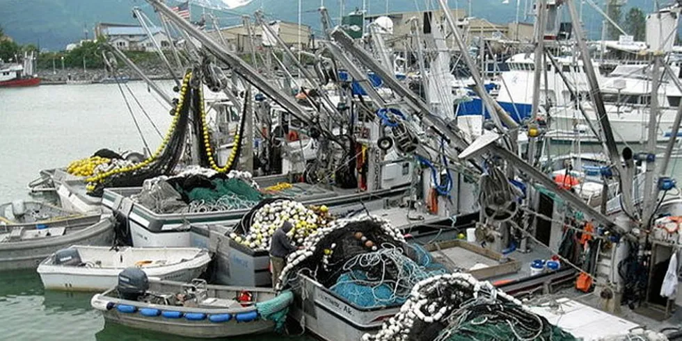 The projected Prince William Sound commercial harvest of 20.53 million fish is less than half of the 46.28 million fish harvested in 2023.