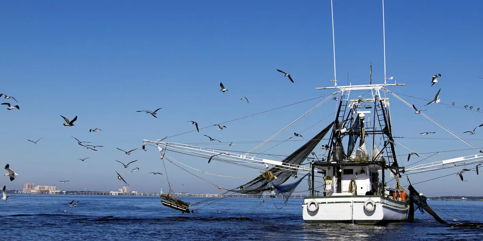 US Gulf of Mexico shrimp boat.