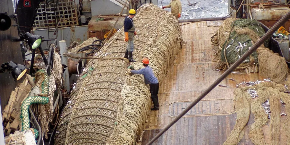 More Russian-origin eco-labeled pollock is heading to the market.