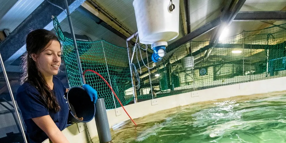 Legal challenges have been filed against Kingfish Maine by Protect Downeast.