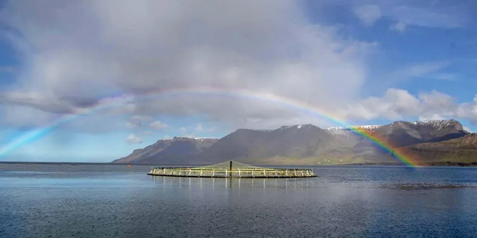 This recent effort to combat the parasite is part of a unprecedented infestation of sea lice at salmon farms in fjords located in western Iceland in recent weeks.