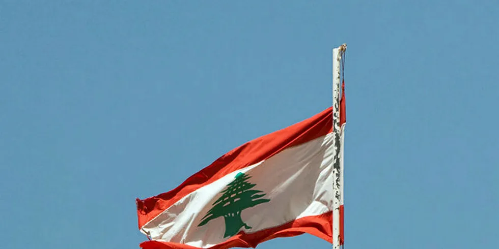 The Lebanese flag.