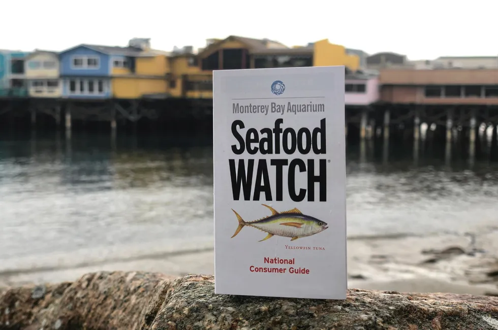 “Anchoveta stocks are healthy, and overfishing isn't occurring,” Seafood Watch wrote in justifying its ratings.