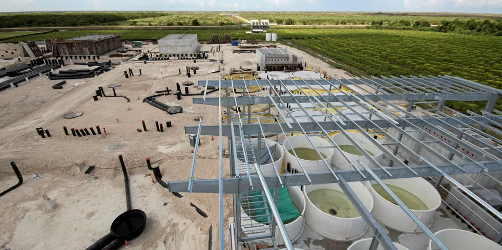 Everyone is watching Atlantic's Sapphire's land-based salmon farm under construction in Miami, Florida.