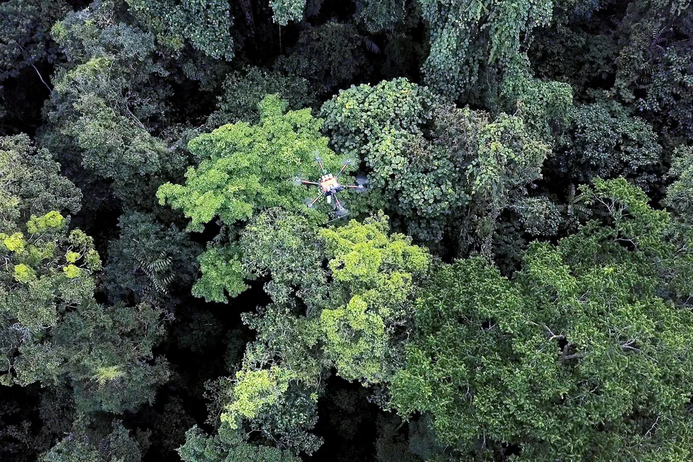 Overhead: a drone with a Dart above the PNG canopy during a test of Total's Metis land seismic project