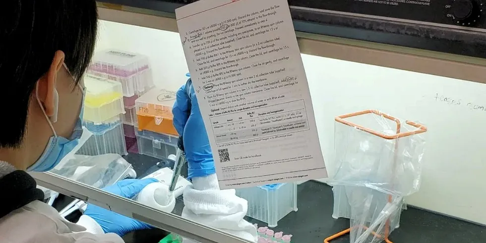 The Center for Aquaculture Technologies (CAT) is driving growth in aquaculture genetics.