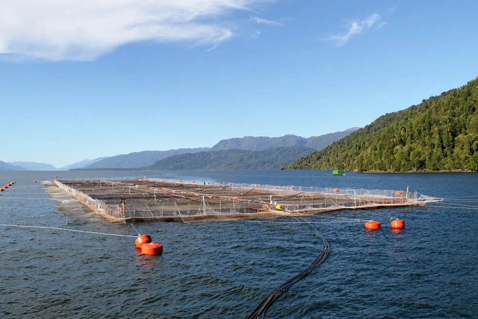 A dramatic drop in salmon production in Chile's leading farming region coincides with a big fall in the area's GDP.