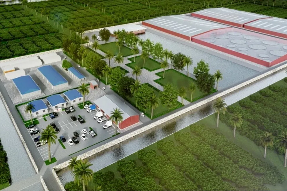 CP Foods' huge Florida shrimp farm: a 180,000 square foot insulated metal building holding forty 100-meter circular production tanks, with capacity to produce 160 metric tons per year.