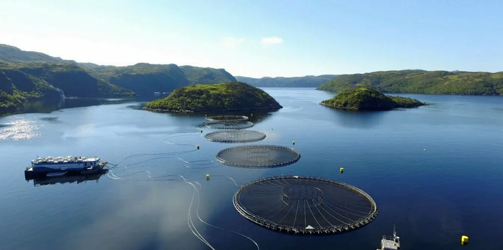 Cooke's Cold Ocean Salmon in NL has already lost nearly 160,000 fish this year.