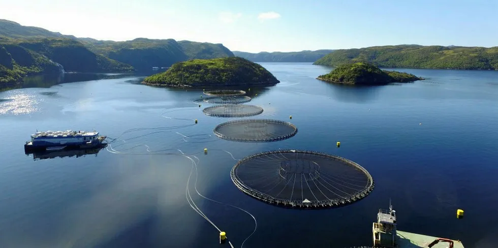 One of Cold Ocean Salmon's sites in Newfoundland.