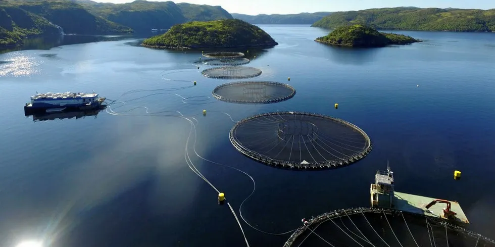 One of Cooke's Cold Ocean salmon cage sites in Newfoundland and Labrador, Canada.