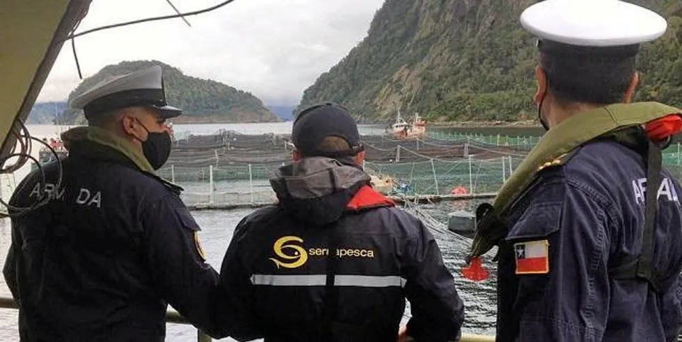 Sernapesca officials are sifting through communications before naming names or declaring the number of dead salmon.